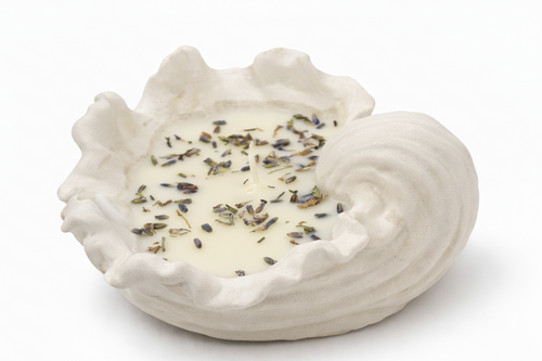 “Ocean breeze” •  vela